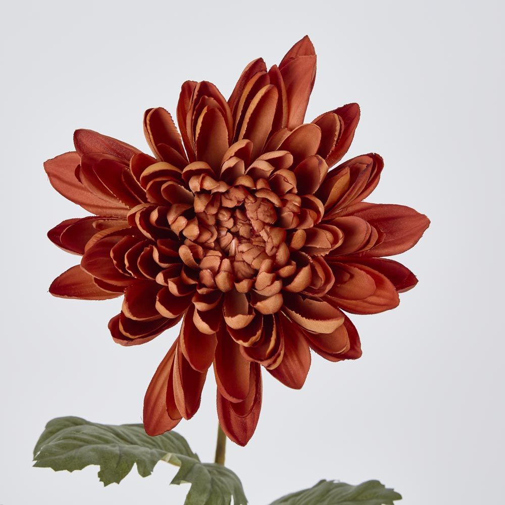 Mum Stem Brown 69cm image 3
