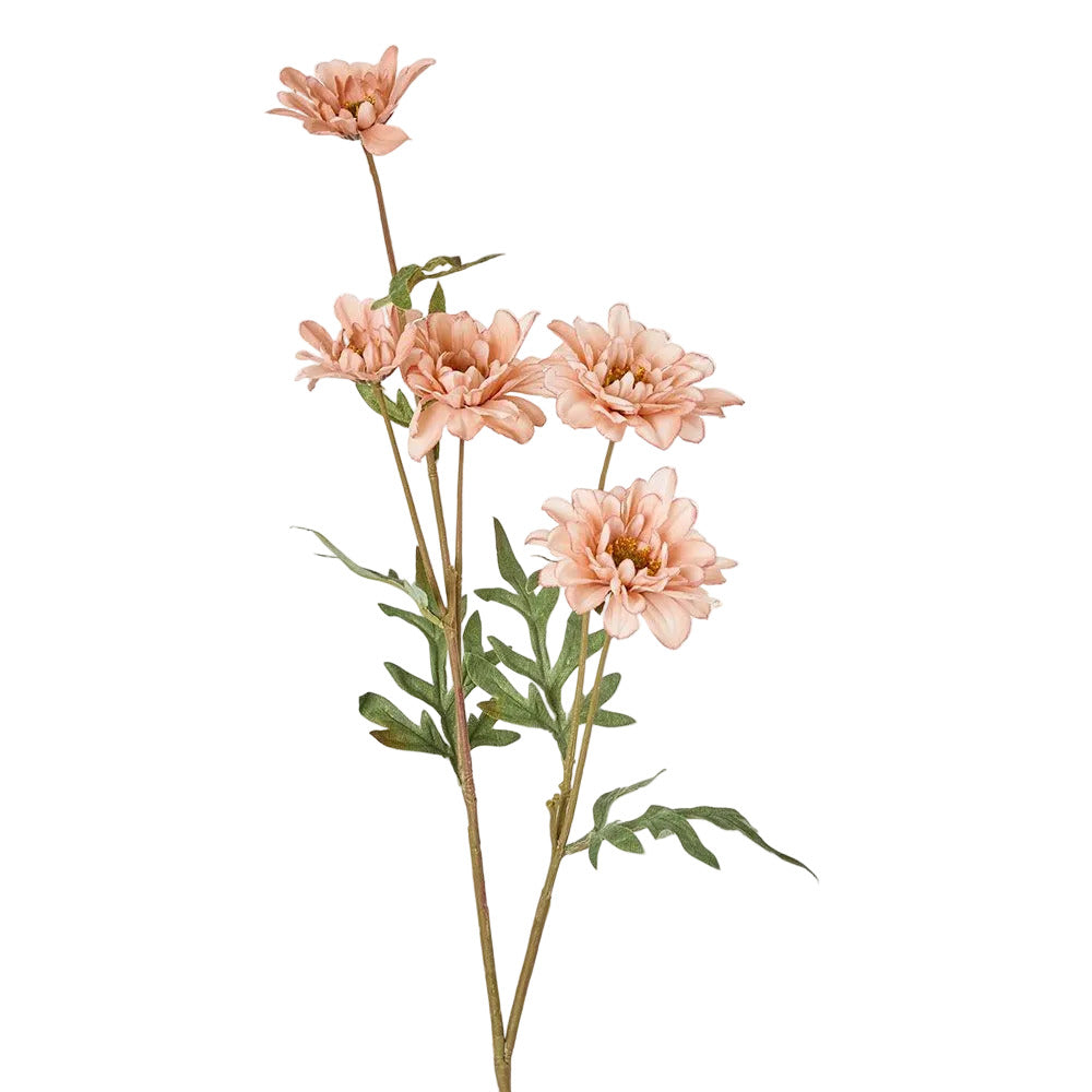 Daisy Spray White Pink 75cm