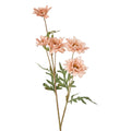 Daisy Spray White Pink 75cm