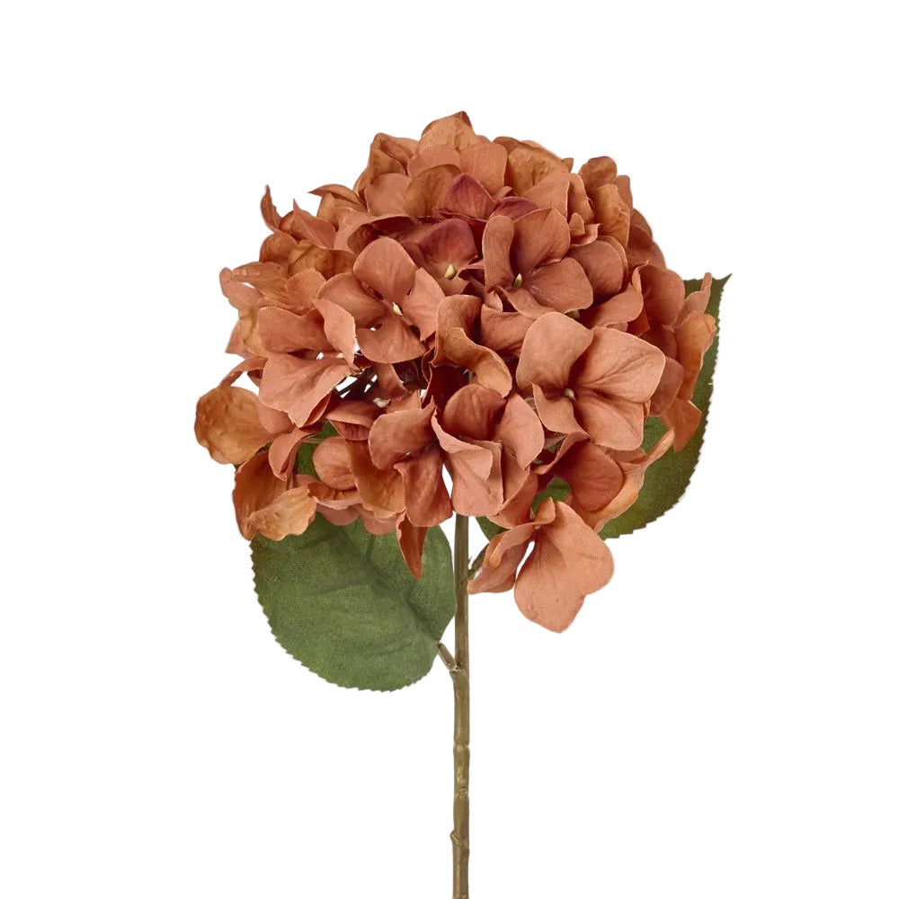 Hydrangea Stem 69cm Brown