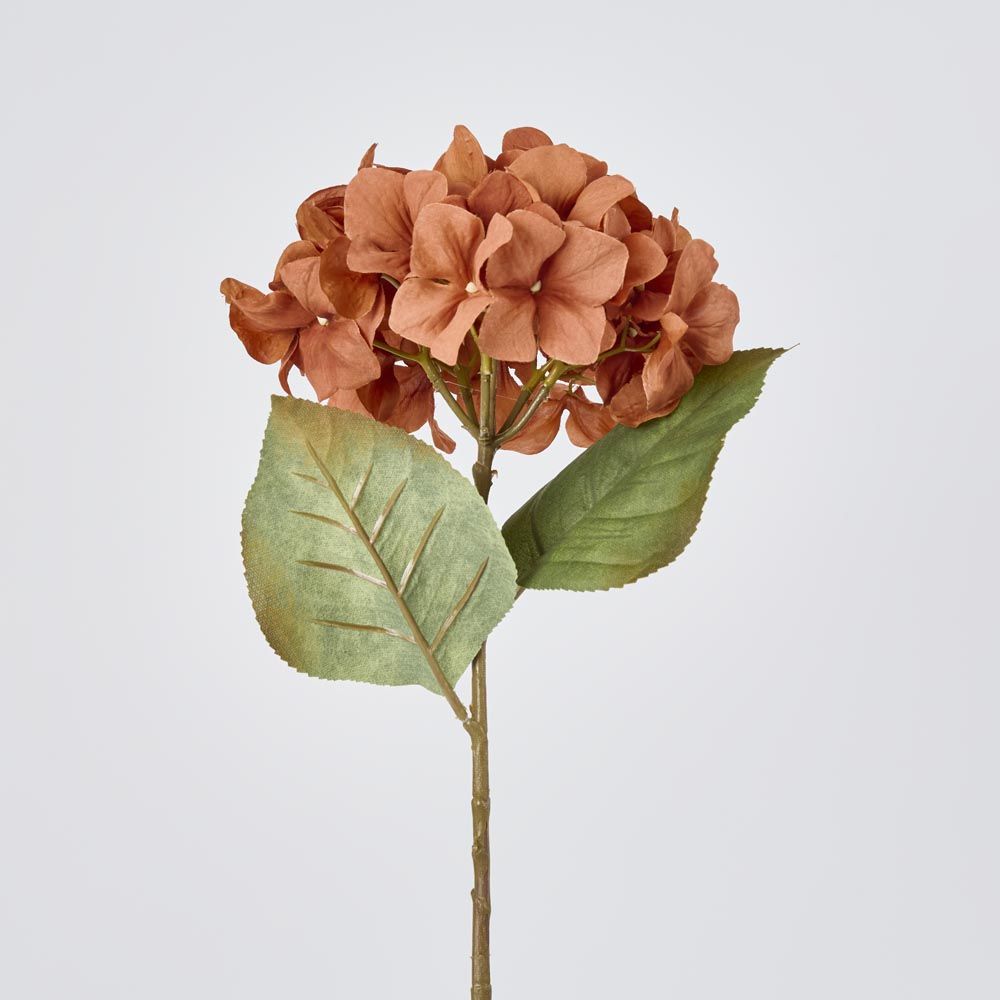 Hydrangea Stem 69cm Brown image 2