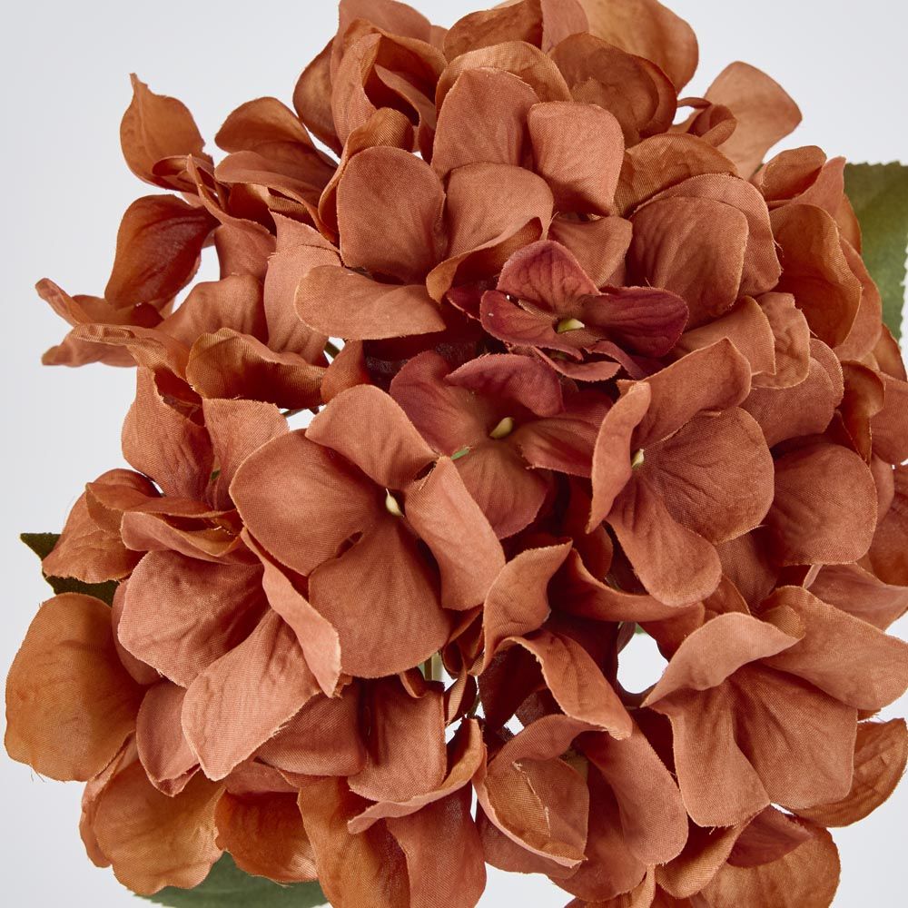 Hydrangea Stem 69cm Brown image 3