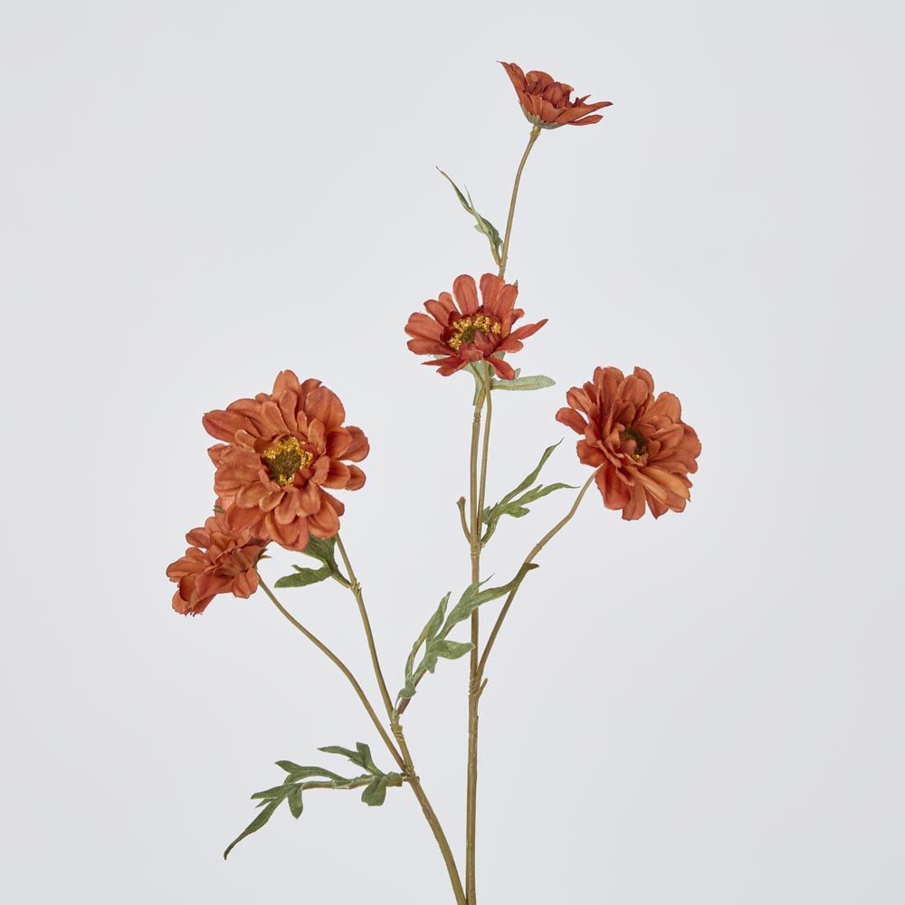 Daisy Spray Brown 75cm image 2