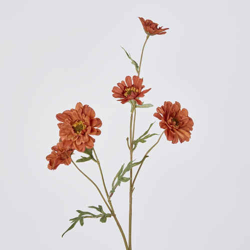 Daisy Spray Brown 75cm image 2