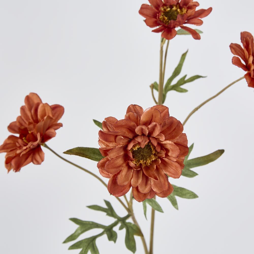 Daisy Spray Brown 75cm image 3