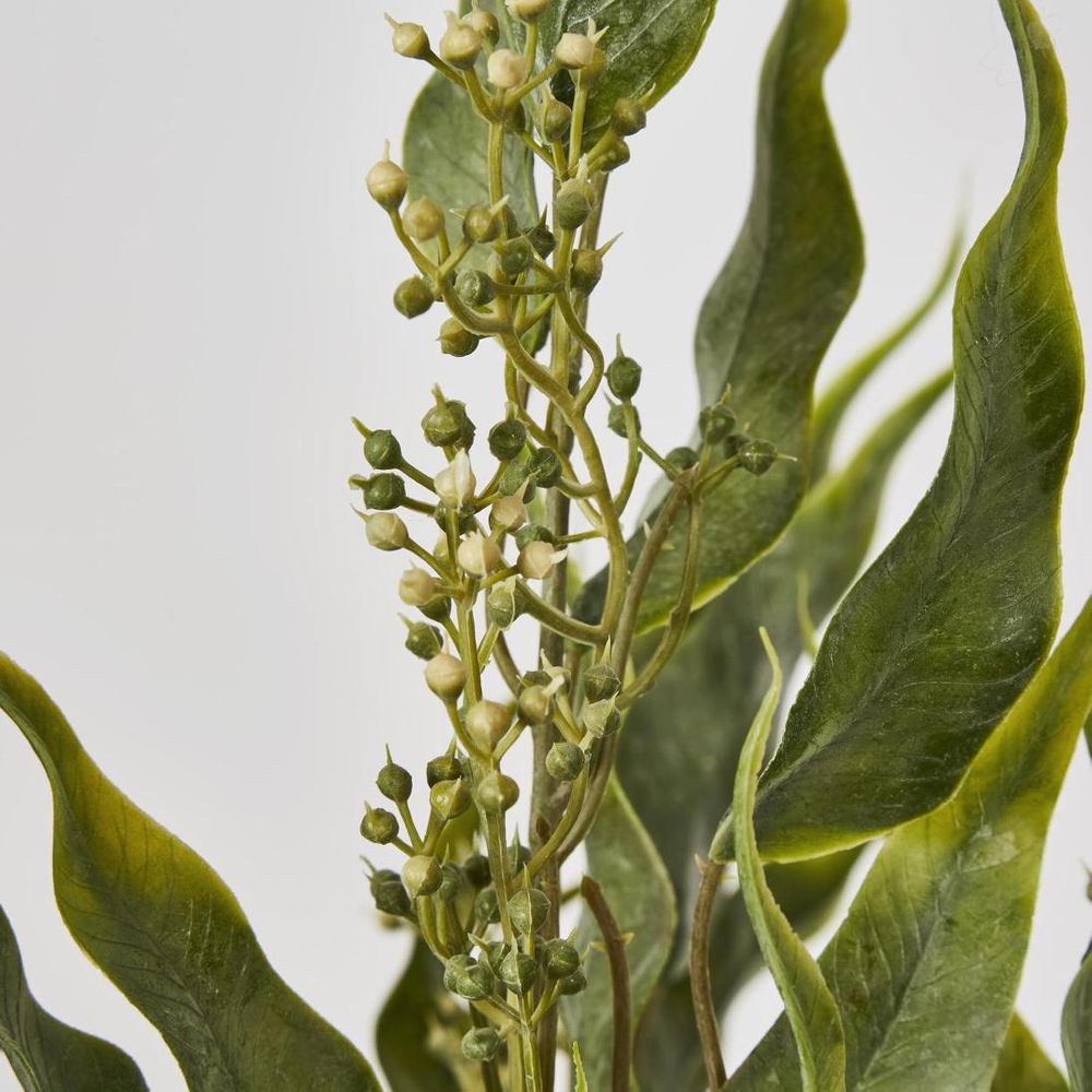 Seeded Eucalyptus Leaf Bush 53cm image 3