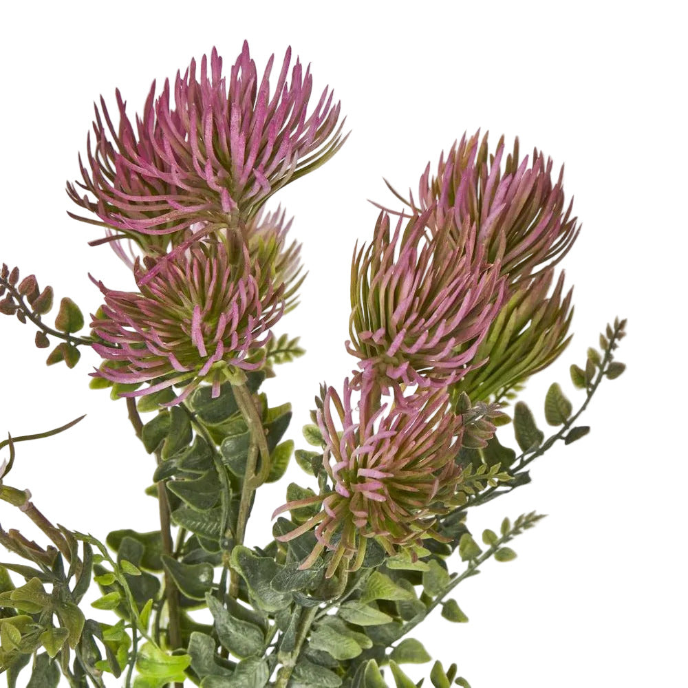 Thistle Bush x 5 Dark Pink image 2