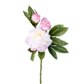 Peony With Two Buds Stem Pink