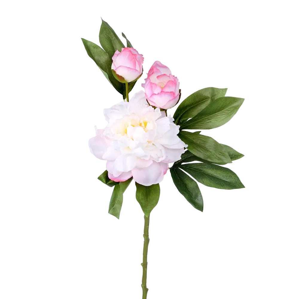 Peony With Two Buds Stem Pink