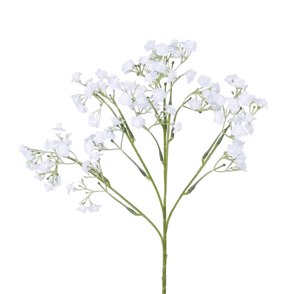 Baby's Breath Stem White