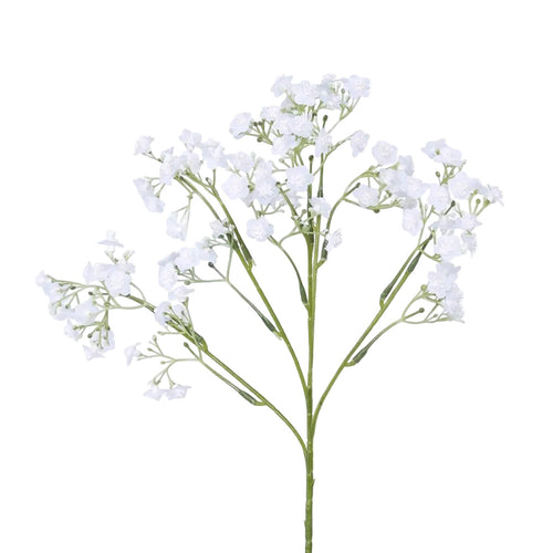 Baby's Breath Stem White