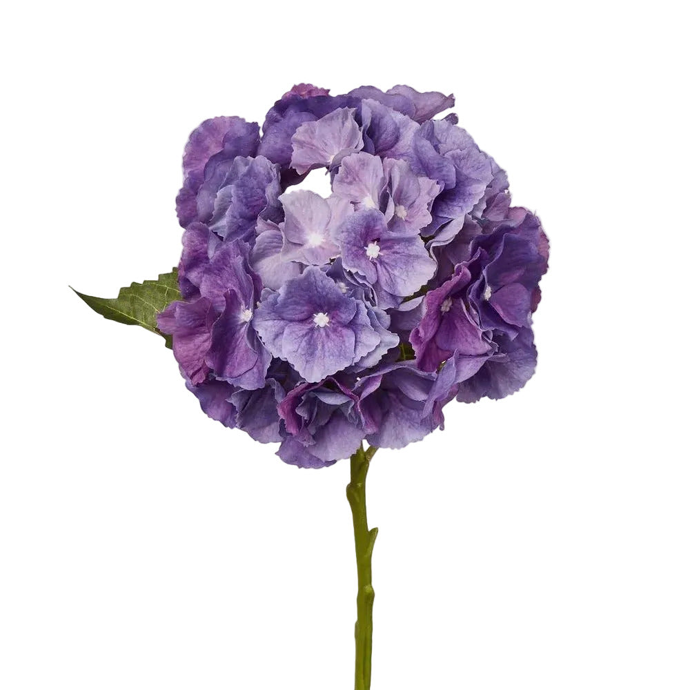 Susan Hydrangea Soft Touch Violet
52cm