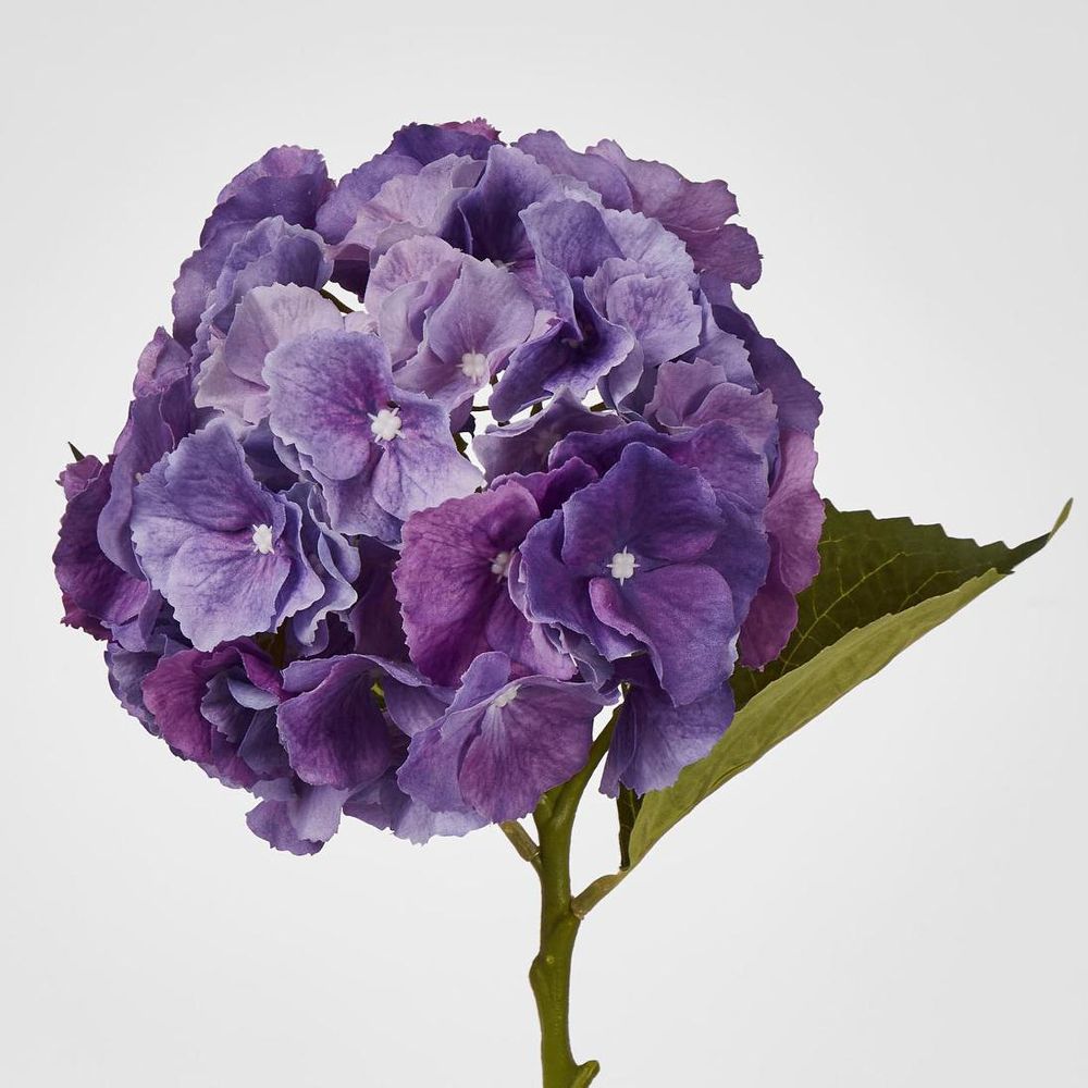 Susan Hydrangea Soft Touch Violet
52cm image 2