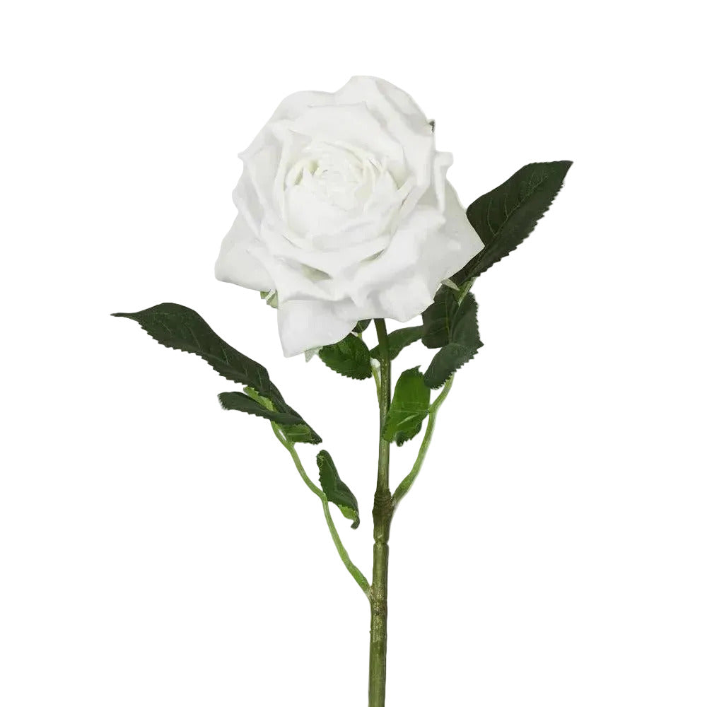 Walter Real Touch Rose Stem Winter White
61cm
