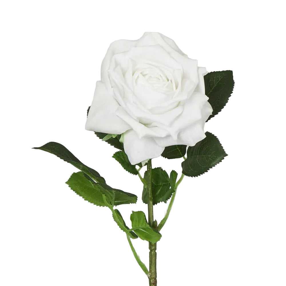 Walter Real Touch Rose Stem Winter White
61cm image 2