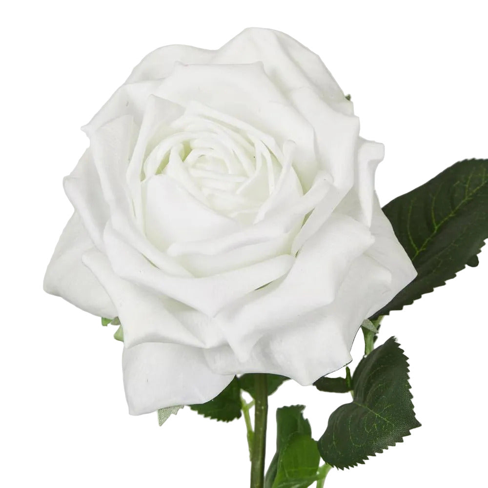 Walter Real Touch Rose Stem Winter White
61cm image 3