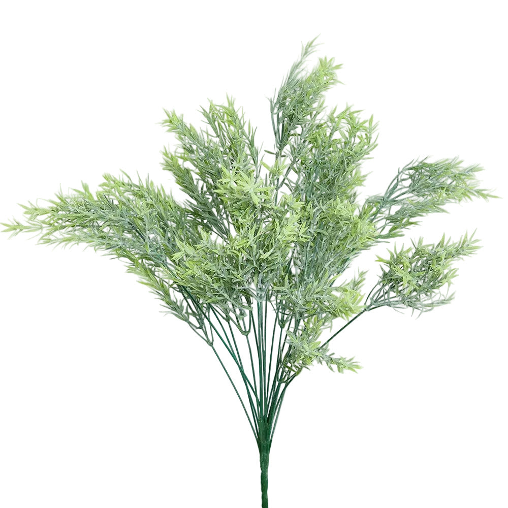 Willow Grass Bush