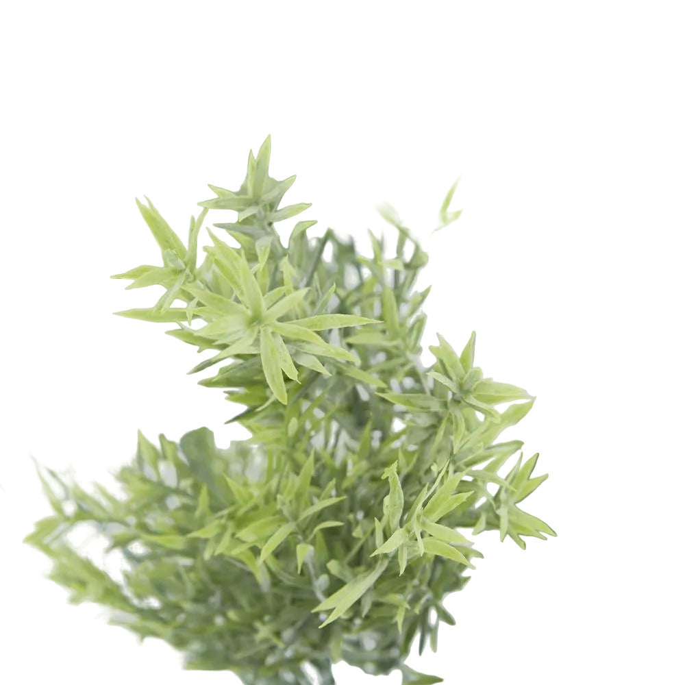 Willow Grass Bush image 3