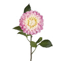 Single Ball Dahlia 74cm Yellow Pink
