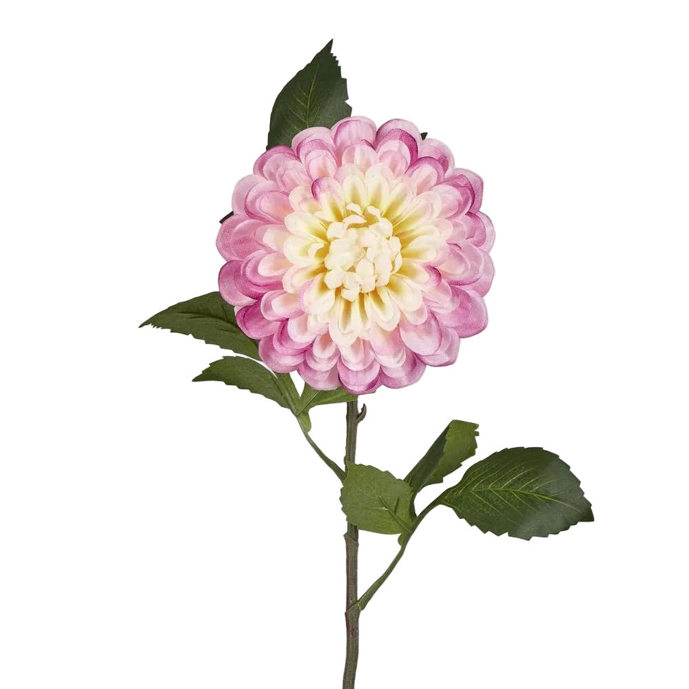 Single Ball Dahlia 74cm Yellow Pink