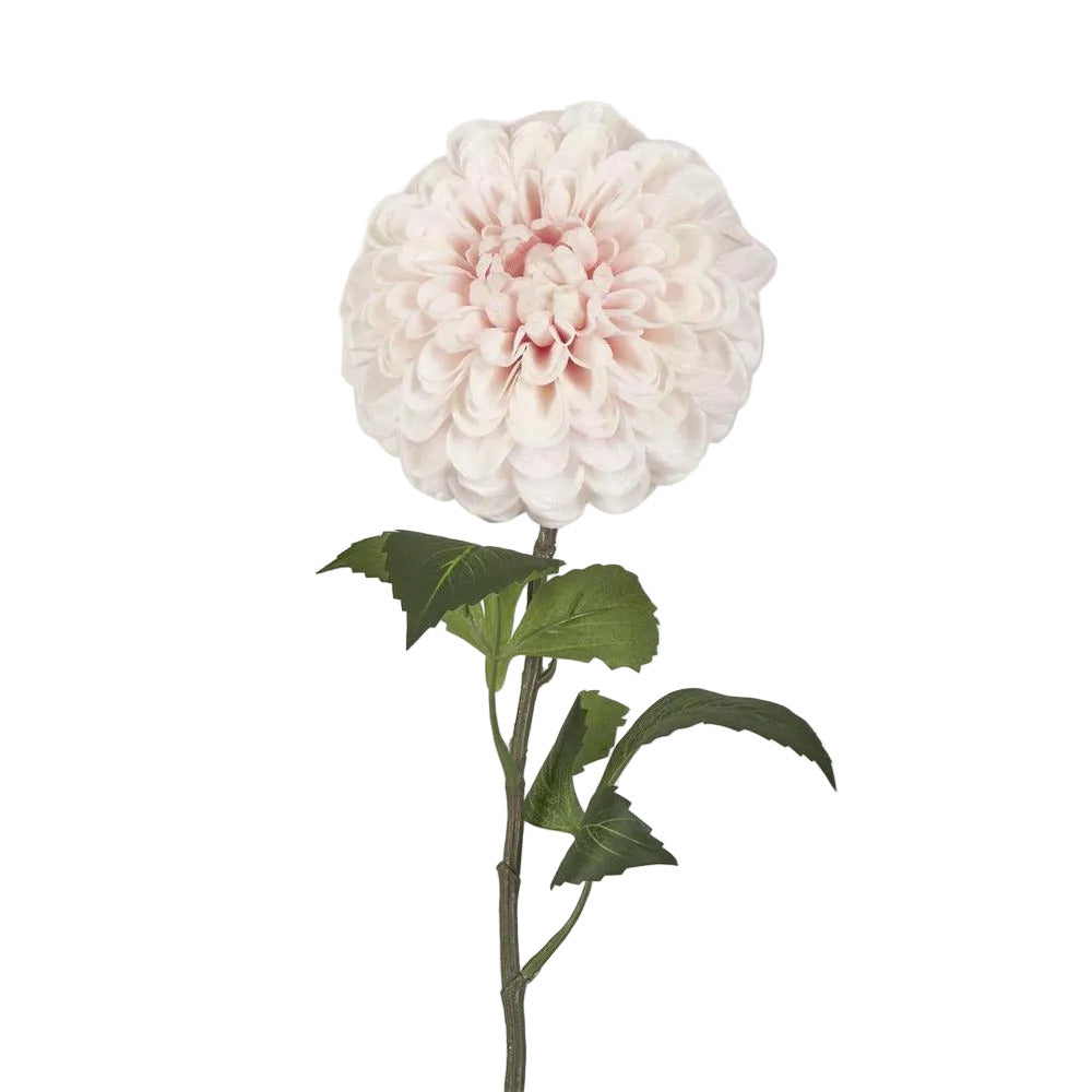 Single Ball Dahlia 74cm Light Pink