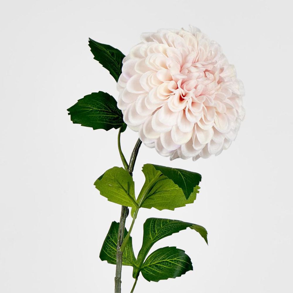 Single Ball Dahlia 74cm Light Pink image 2