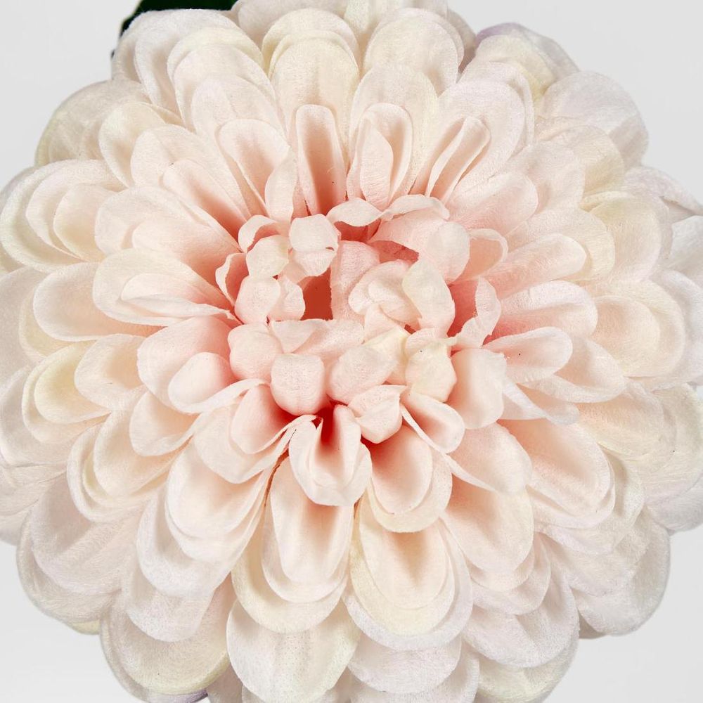 Single Ball Dahlia 74cm Light Pink image 3