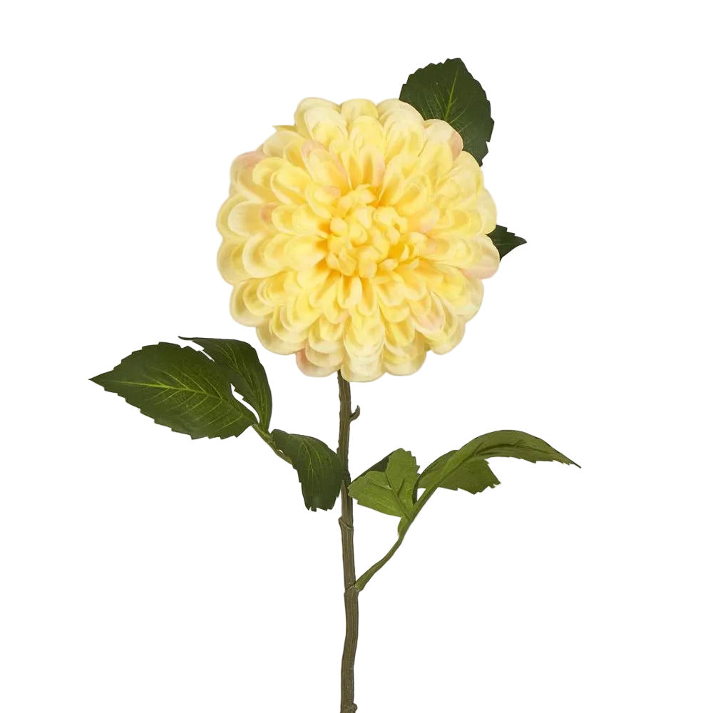 Single Ball Dahlia 74cm Yellow