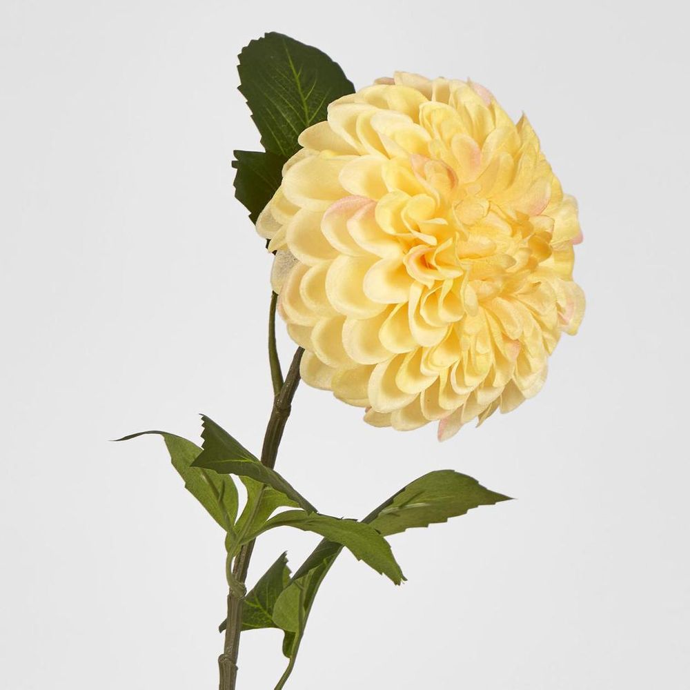 Single Ball Dahlia 74cm Yellow image 2