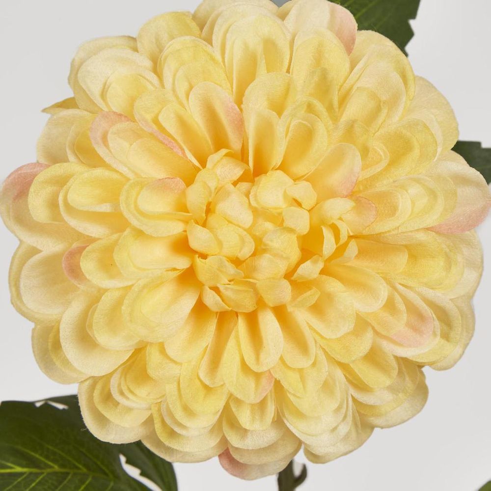 Single Ball Dahlia 74cm Yellow image 3