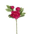Peony With Two Buds Stem Fuchsia