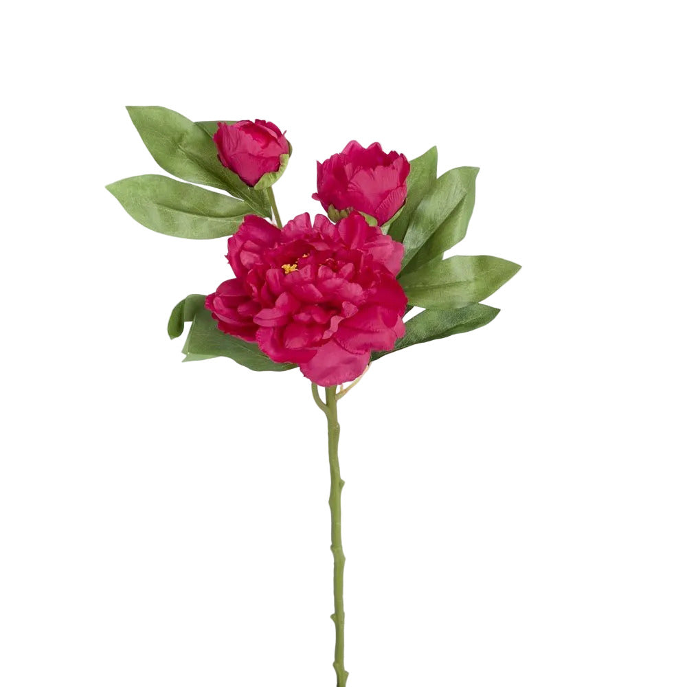 Peony With Two Buds Stem Fuchsia