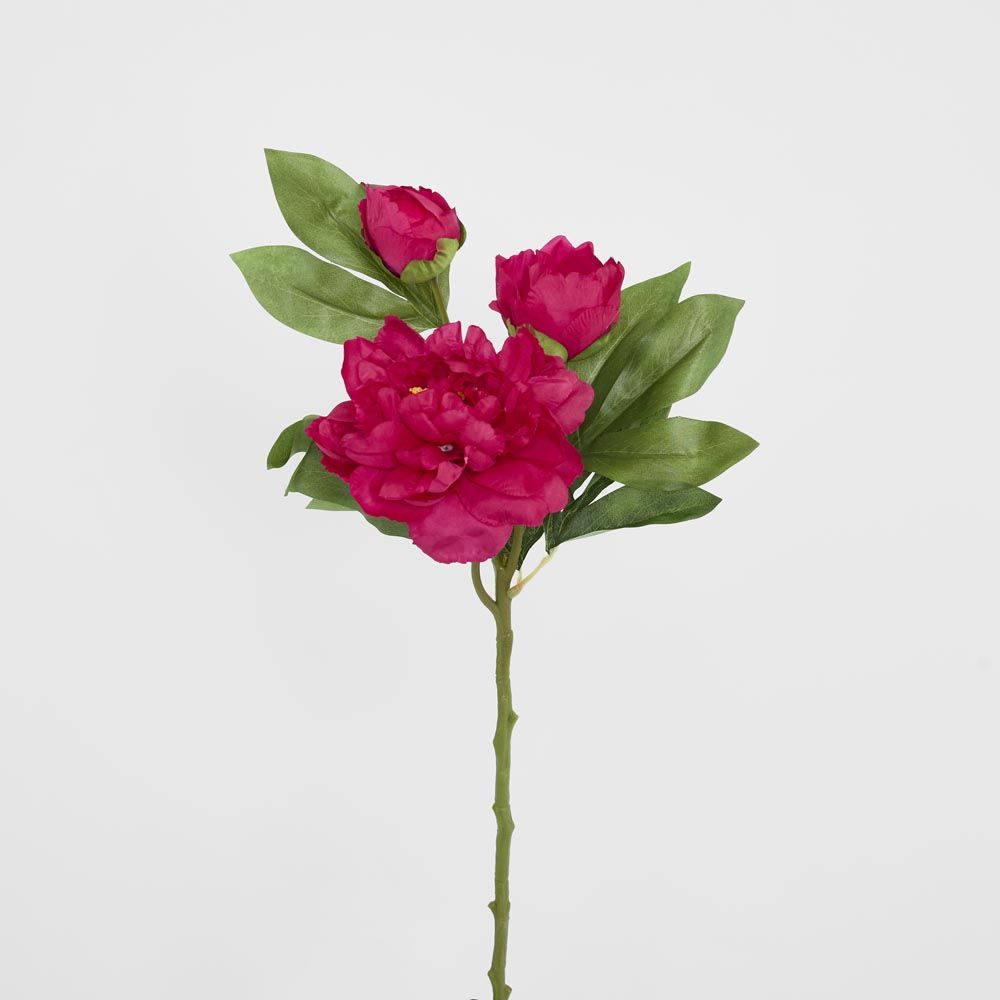 Peony With Two Buds Stem Fuchsia image 2