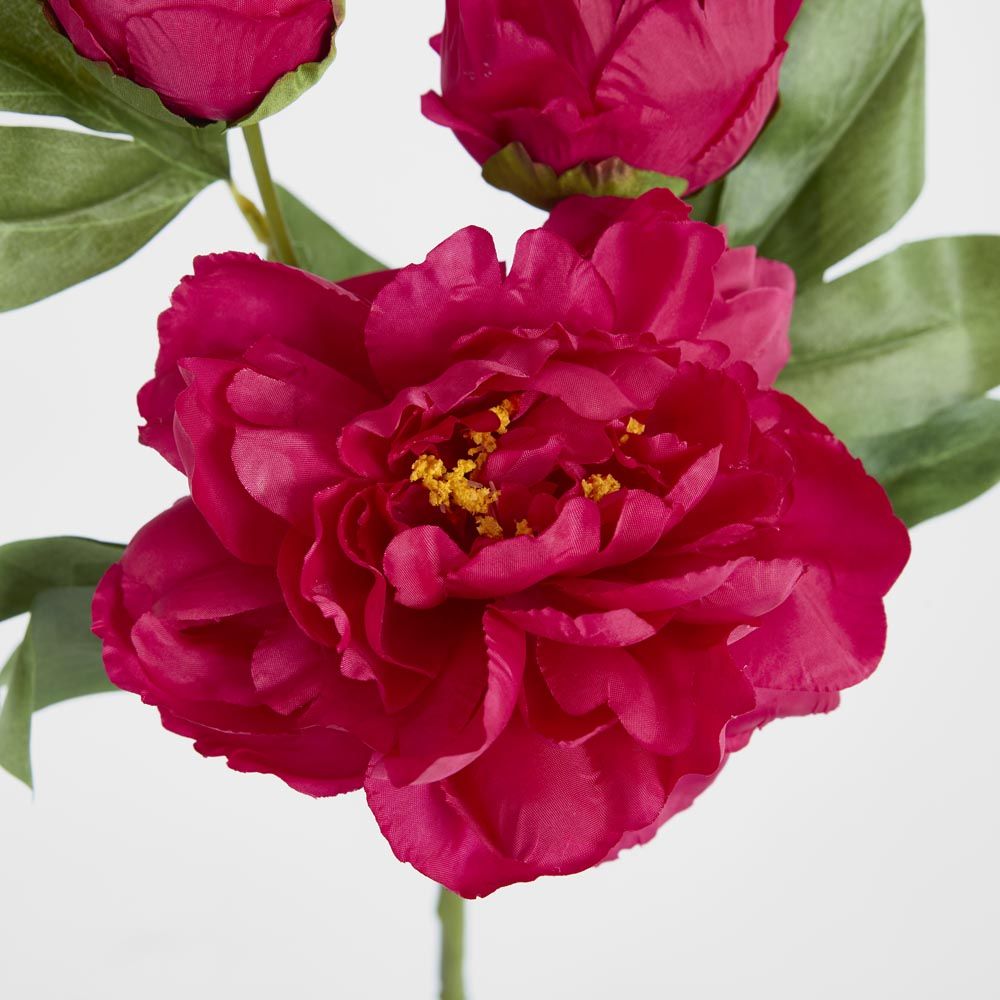 Peony With Two Buds Stem Fuchsia image 3