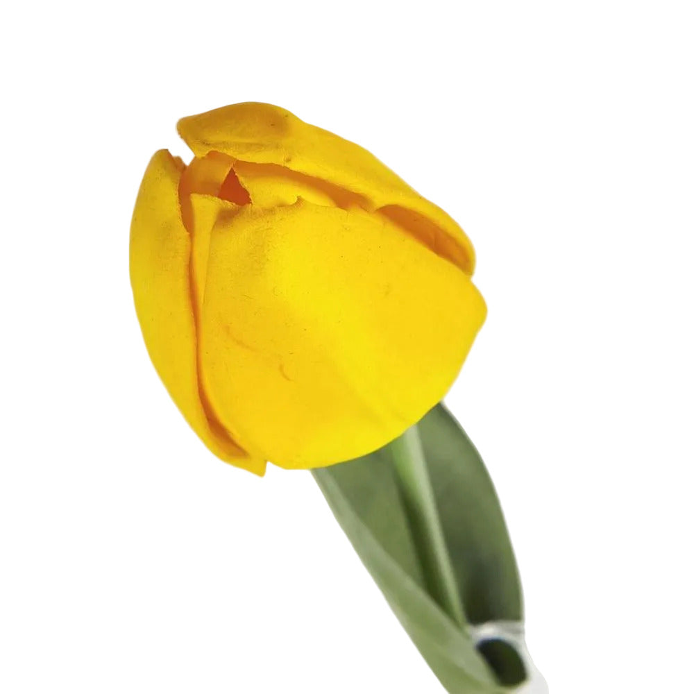 Liv Tulip 45cm Yellow image 4