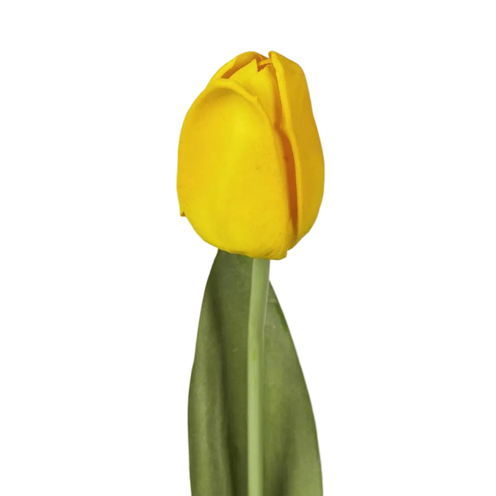Liv Tulip 45cm Yellow image 3