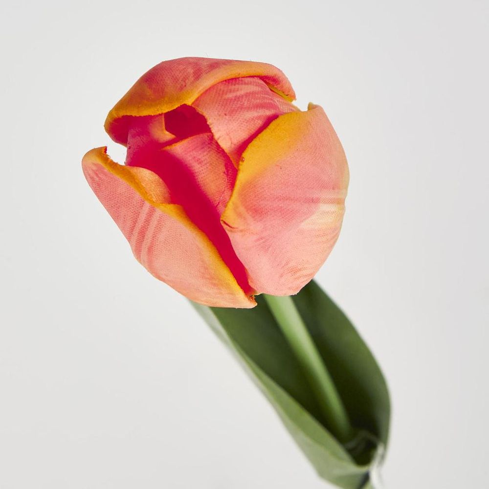 Liv Soft Touch Tulip Orange
45cm image 3