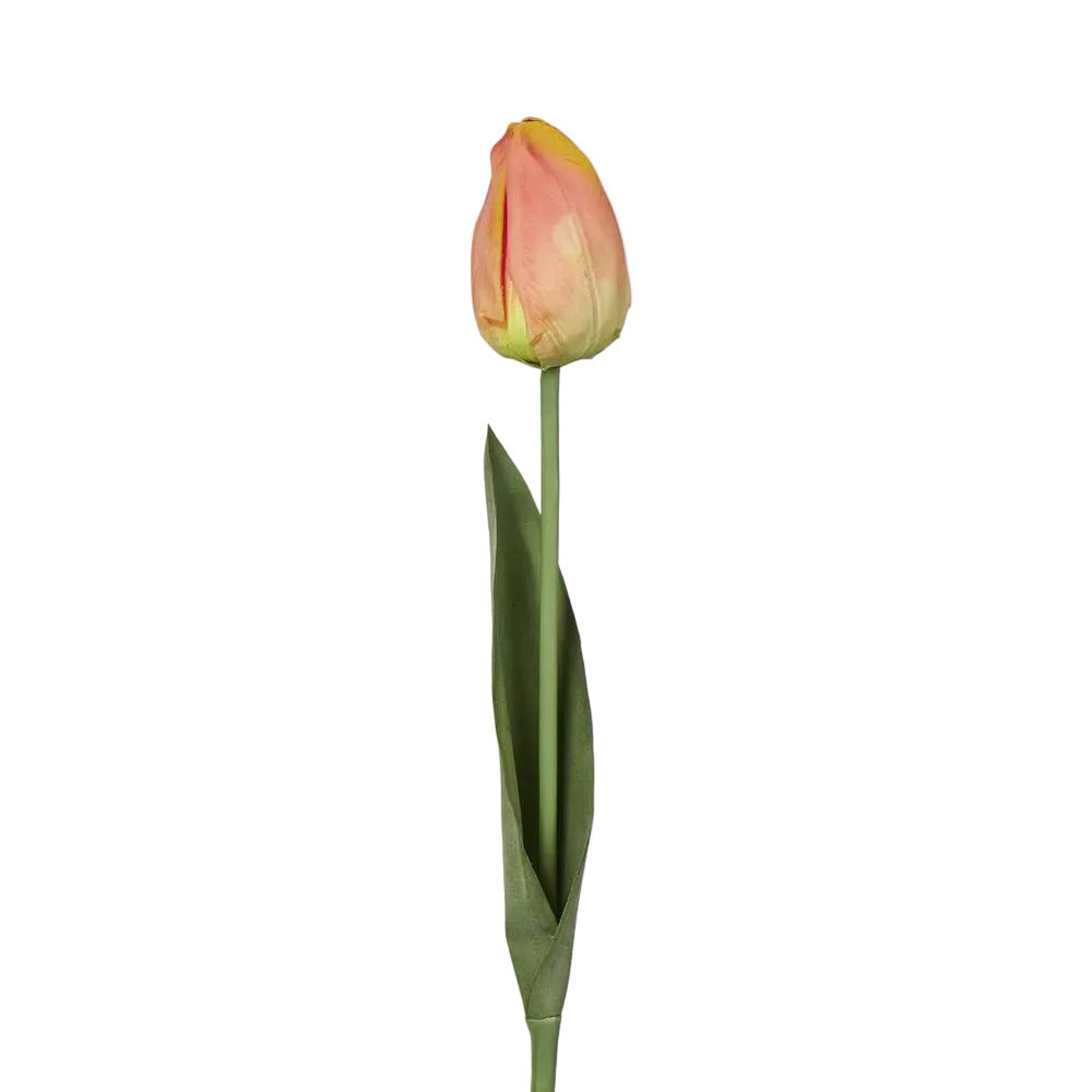 Liv Soft Touch Tulip Orange
45cm