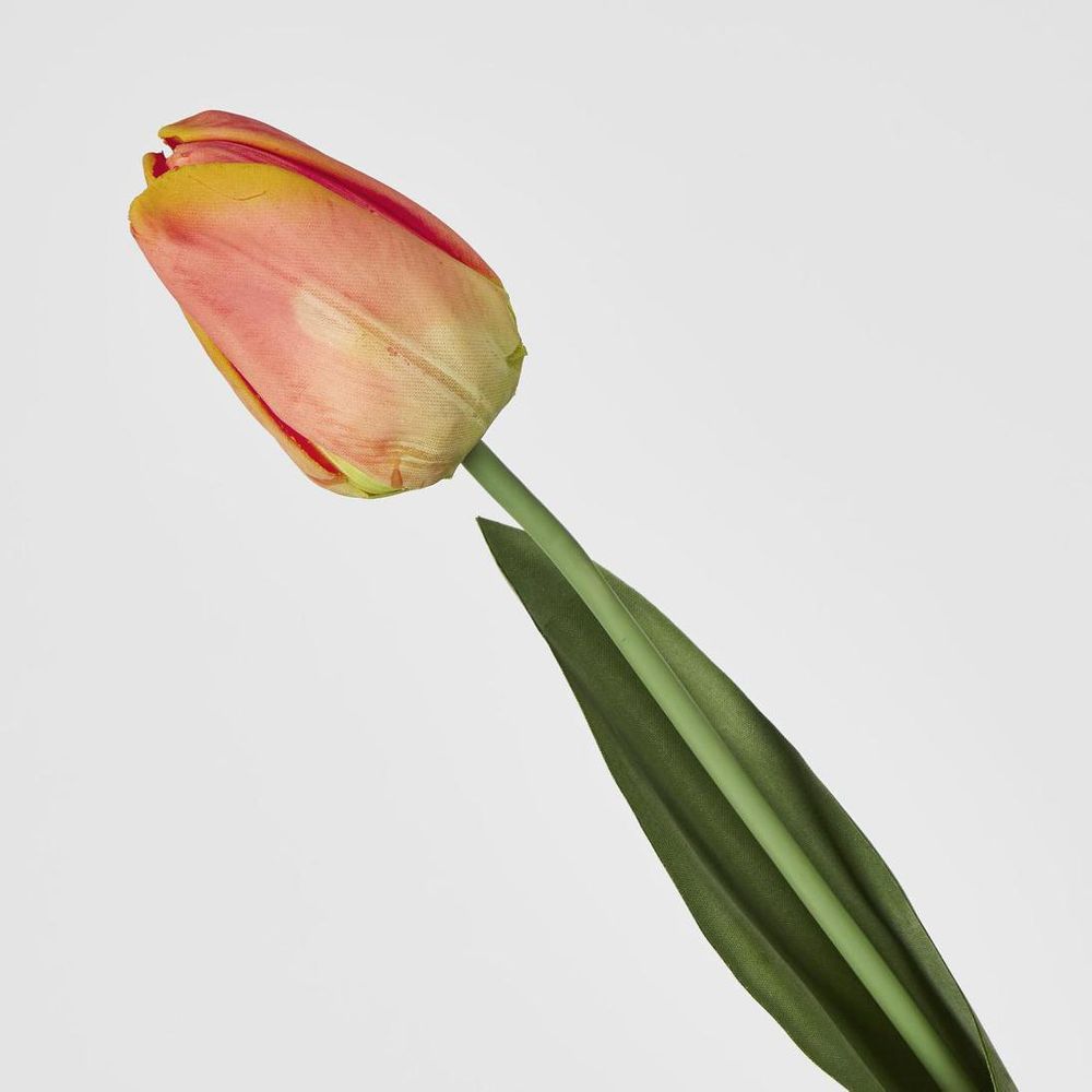 Liv Soft Touch Tulip Orange
45cm image 2