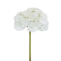 Hydrangea 50cm Snow White