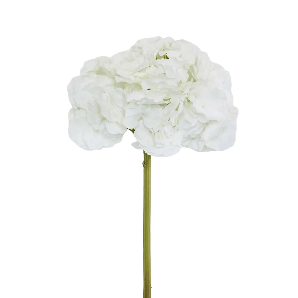 Hydrangea 50cm Snow White